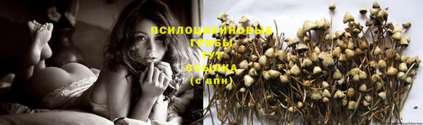 не бодяженный Володарск