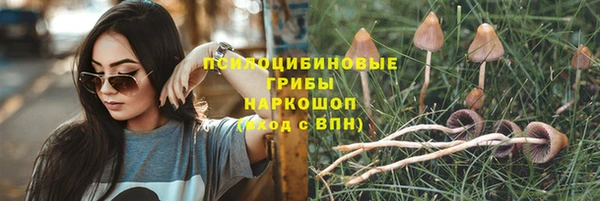 не бодяженный Володарск