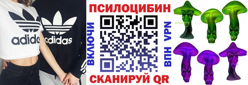Псилоцибиновые грибы Psilocybe  даркнет сайт  Киров 